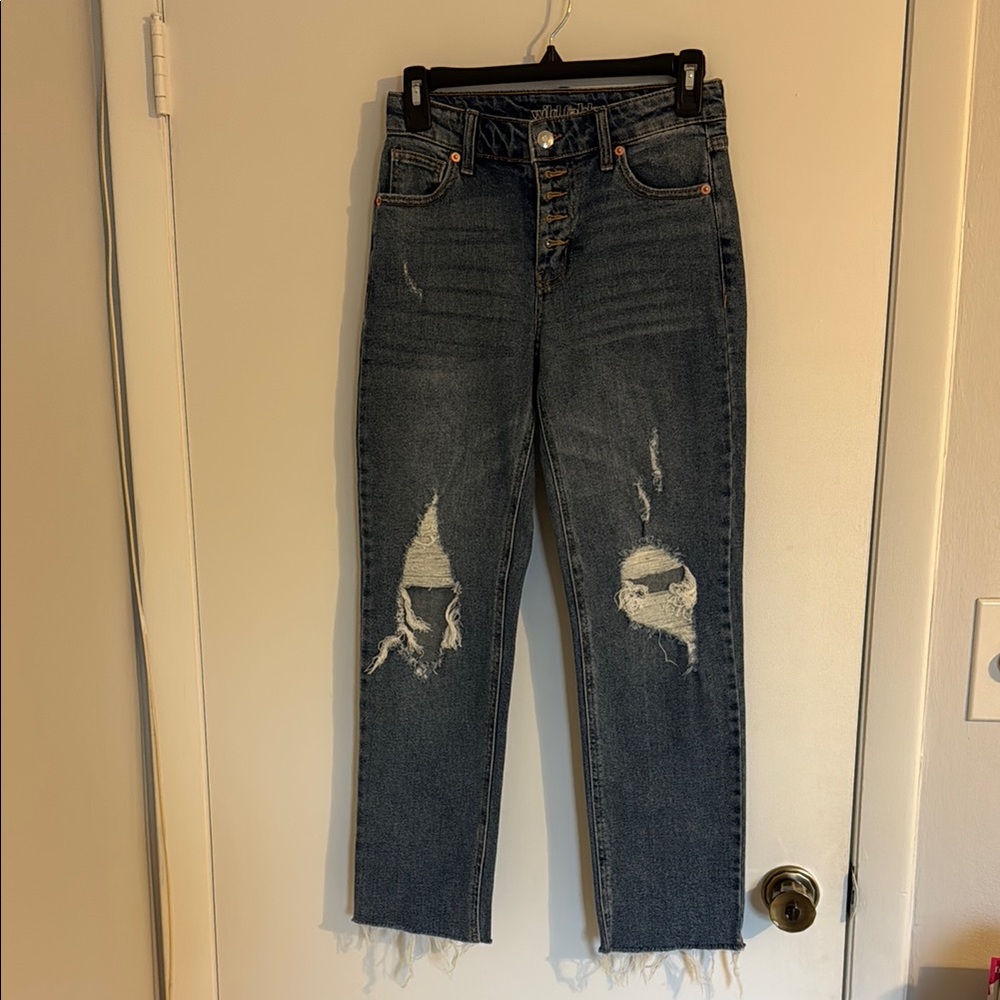 Wild fable jeans